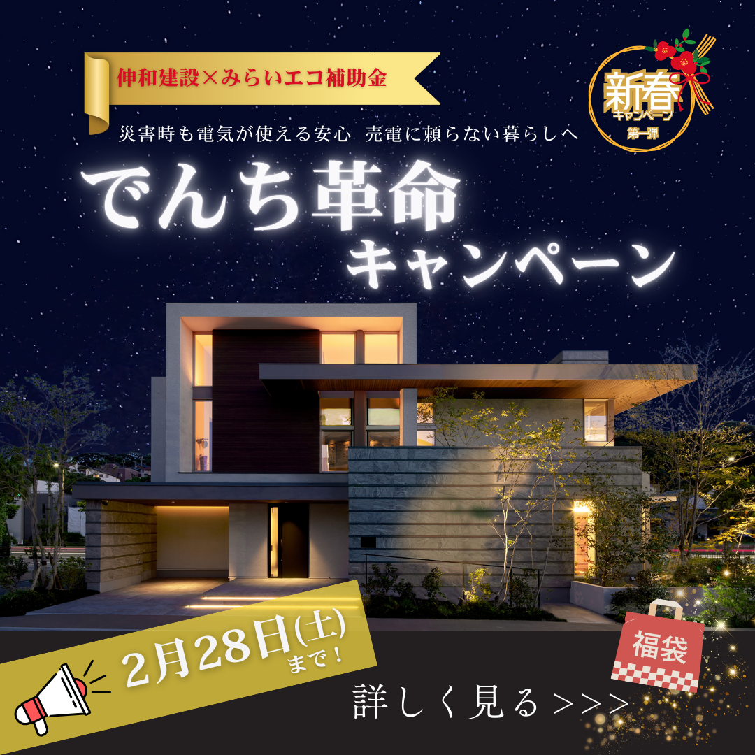 でんち革命キャンペーン